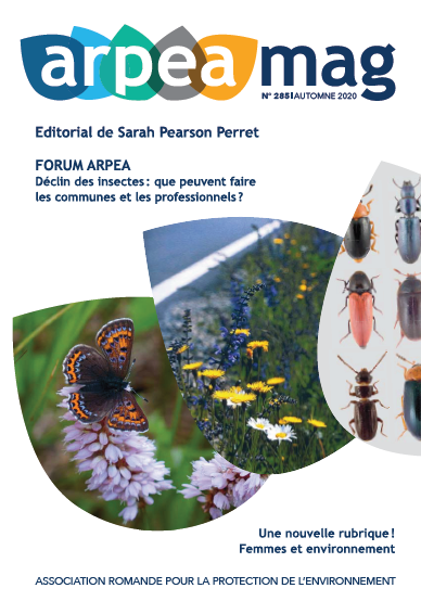 Arpeamag-285