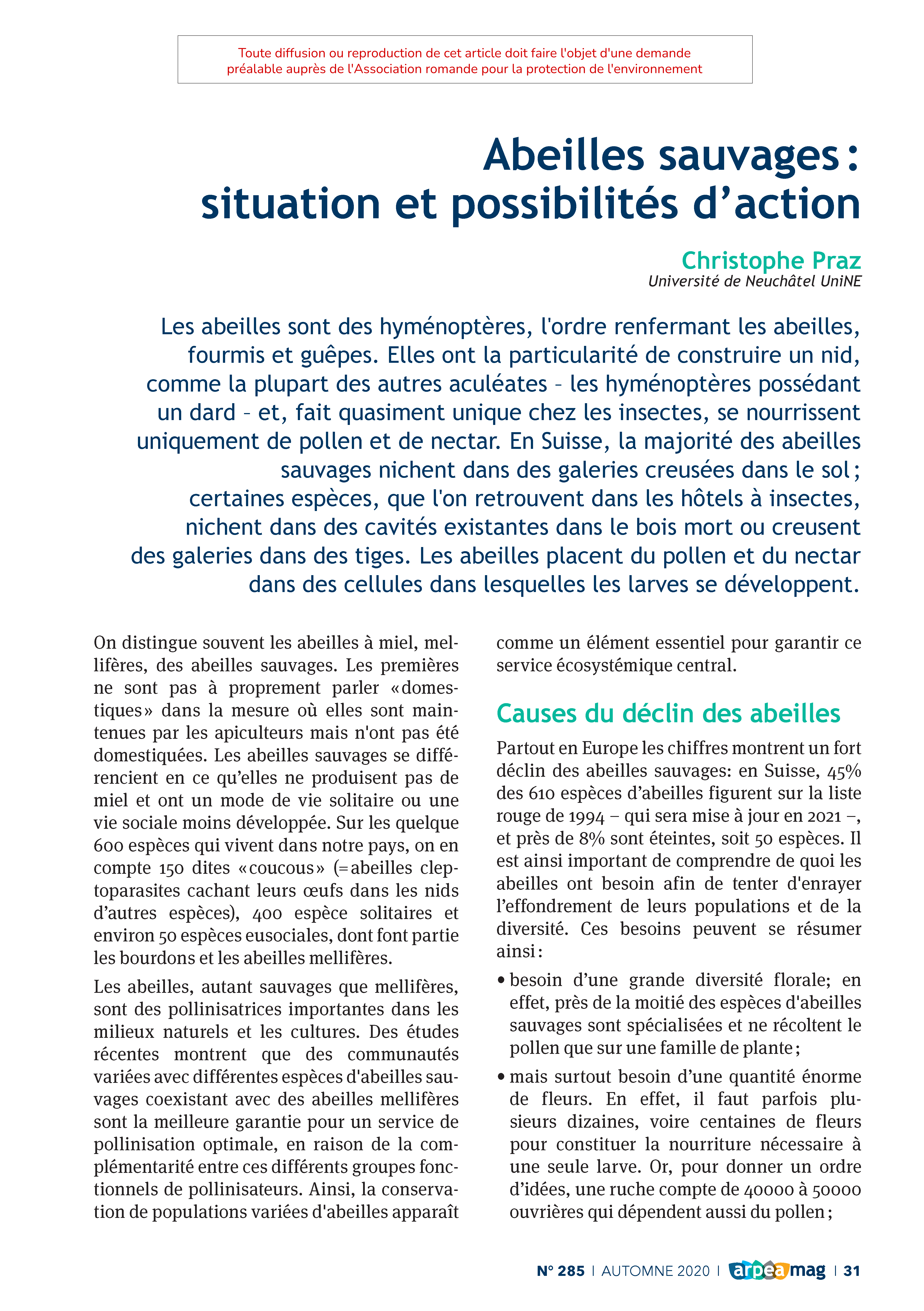 Abeilles sauvages : situations et possibilités d’action