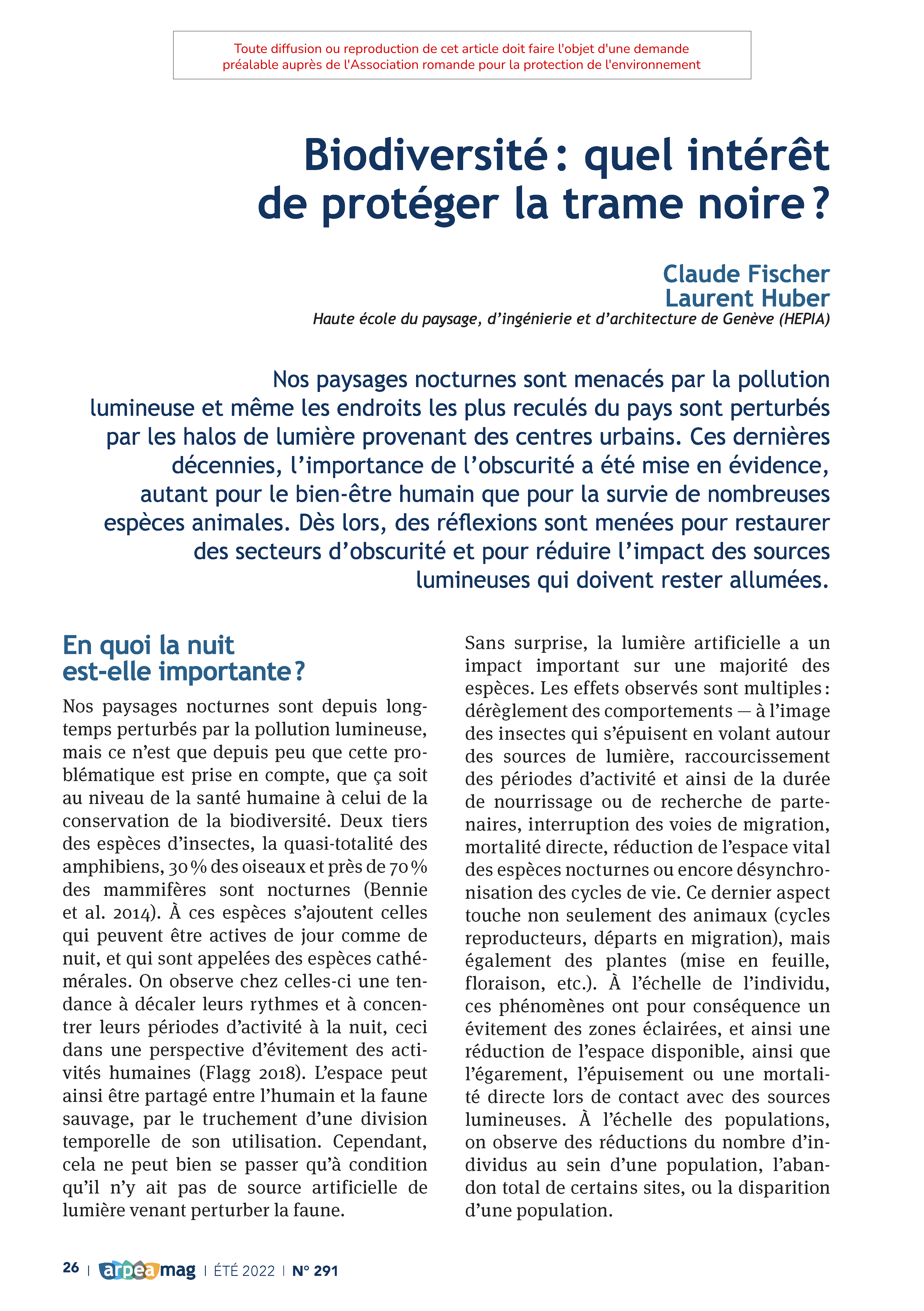Biodiversité : quel intérêt de protéger la trame noire ?