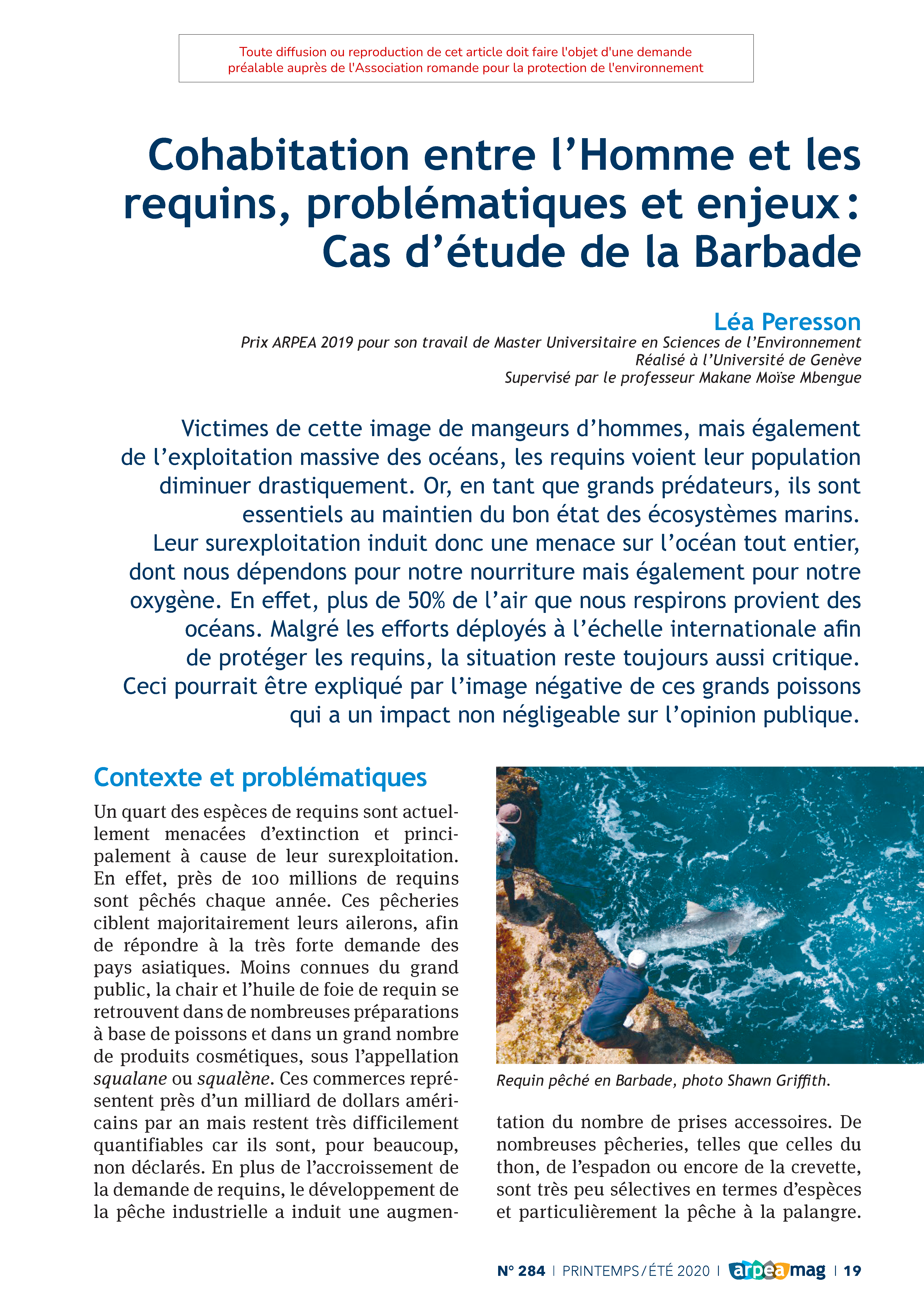 Cohabitation entre l’Homme et les requins, problématiques et enjeux : Cas d’étude de la Barbade