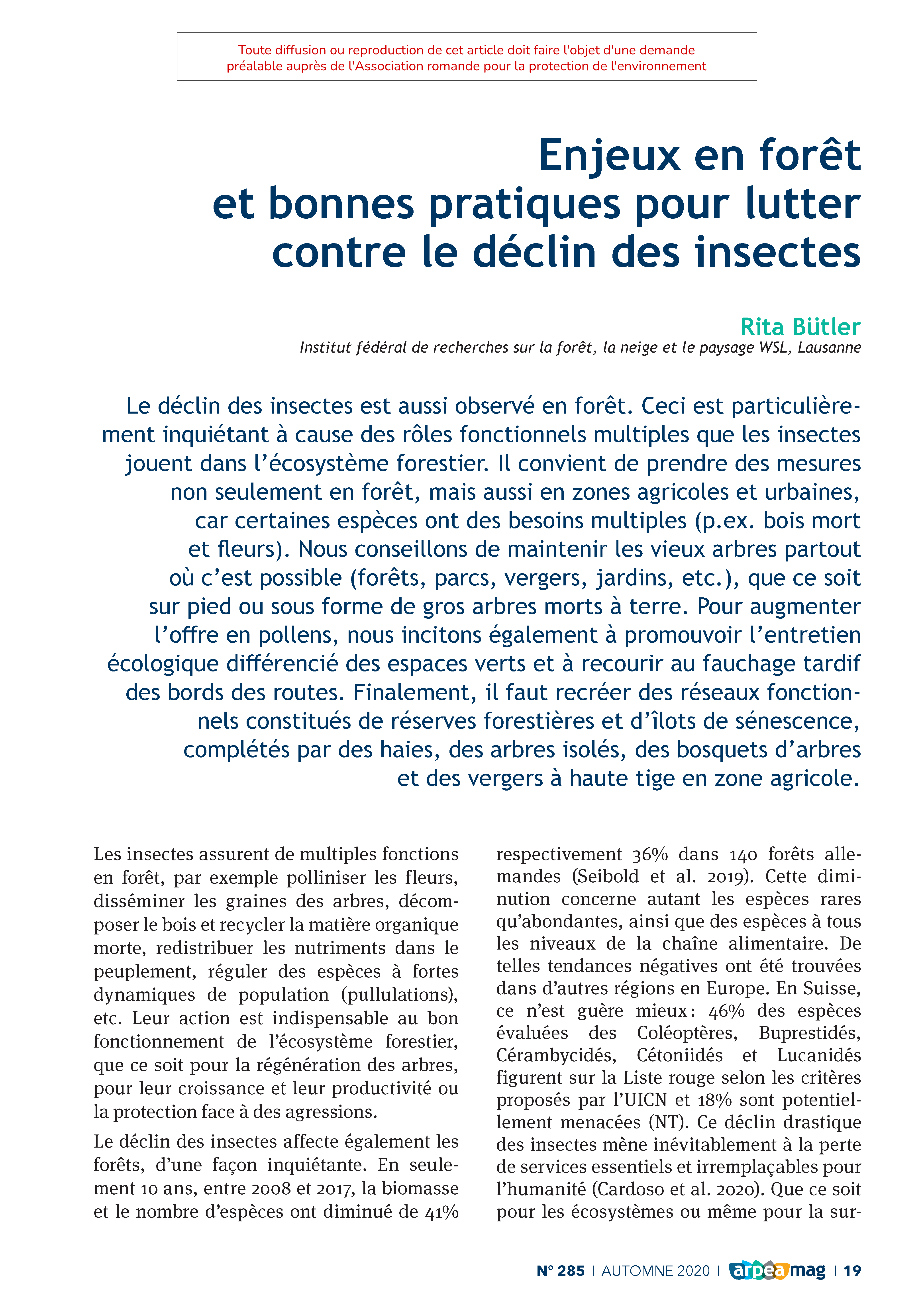 Enjeux en forêt et bonnes pratiques pour lutter contre le déclin des insectes