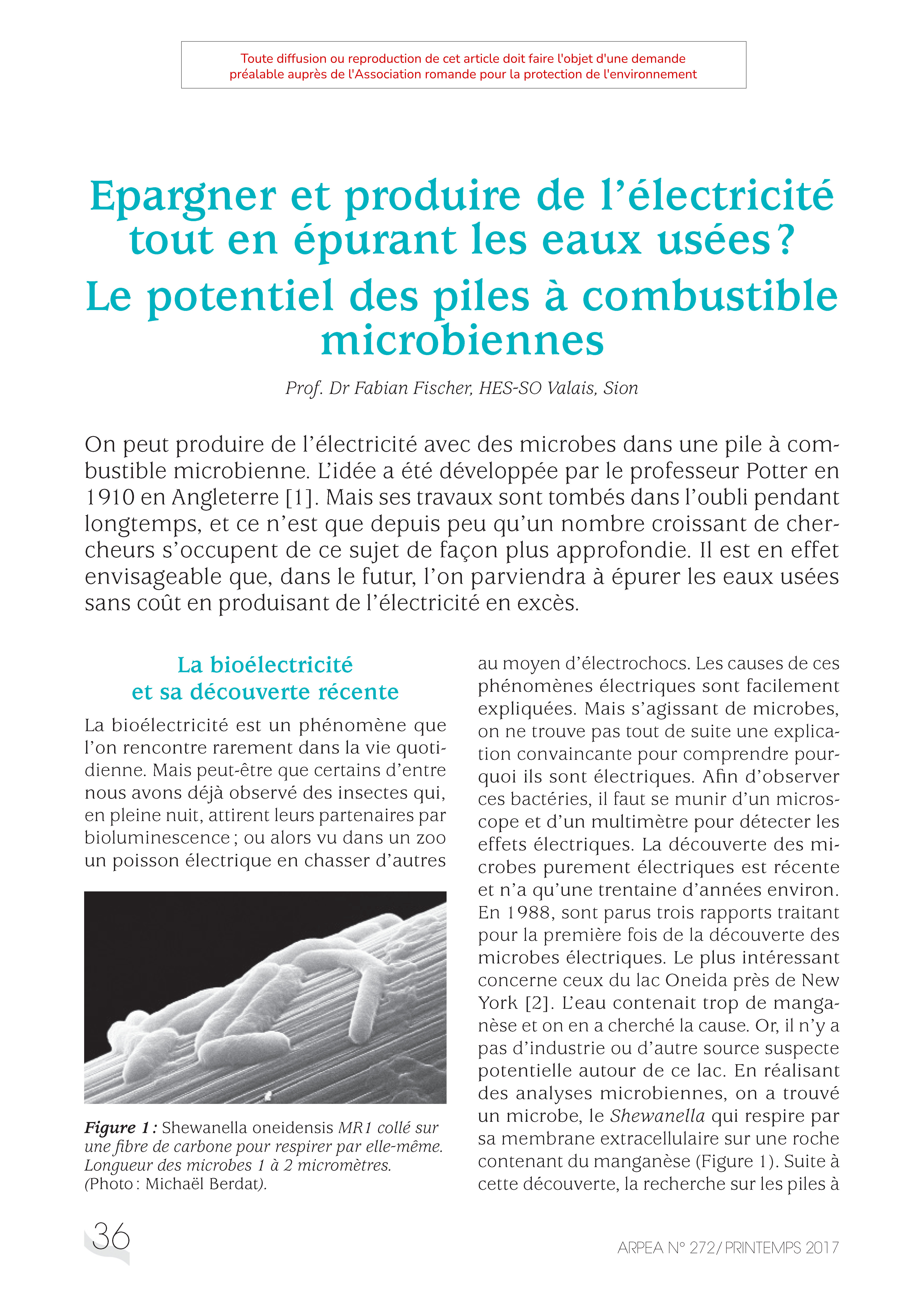 Epargner et produire de l’électricité tout en épurant les eaux usées ?