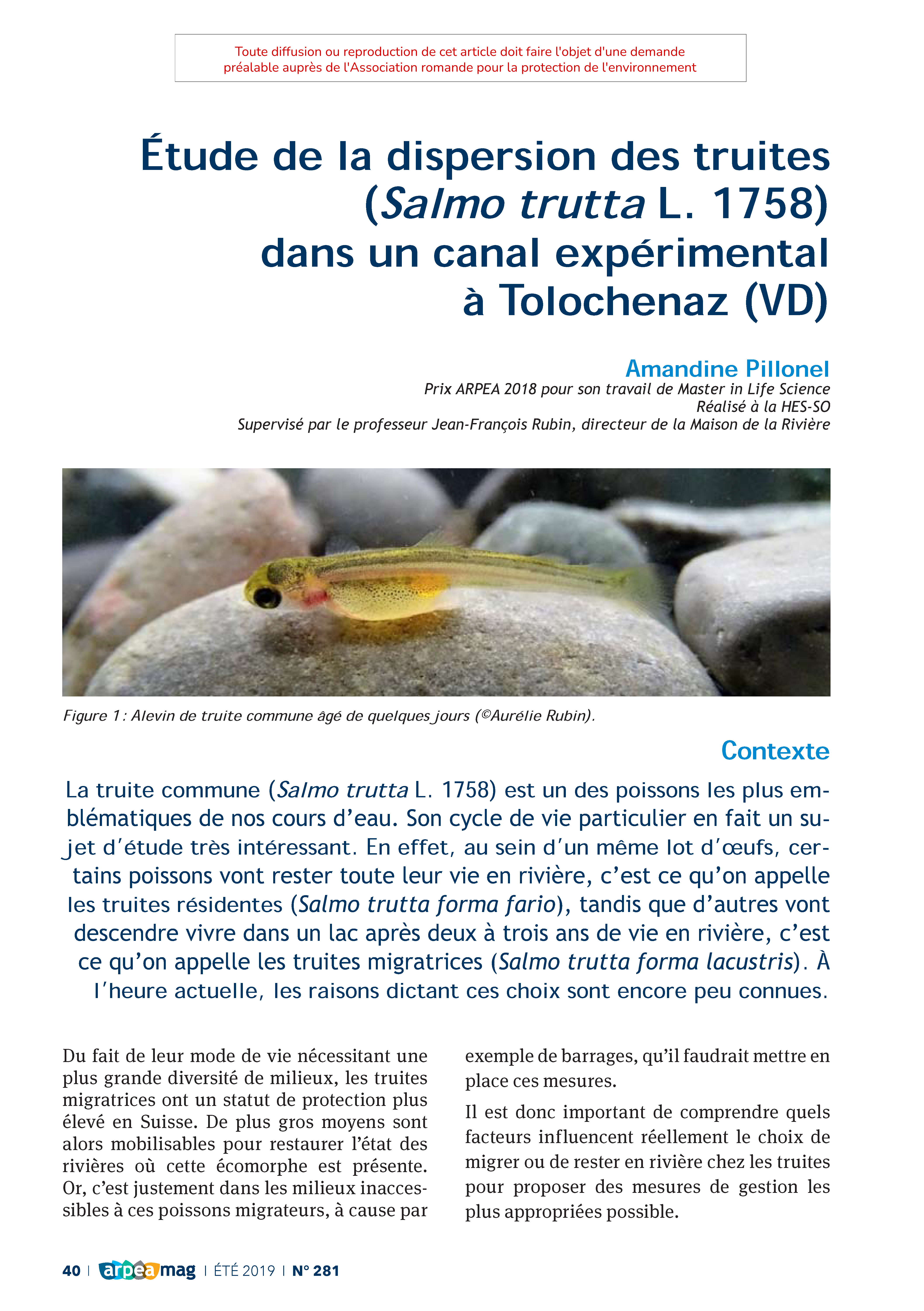 Étude de la dispersion des truites (Salmo trutta L. 1758) dans un canal expérimental à Tolochenaz (VD)