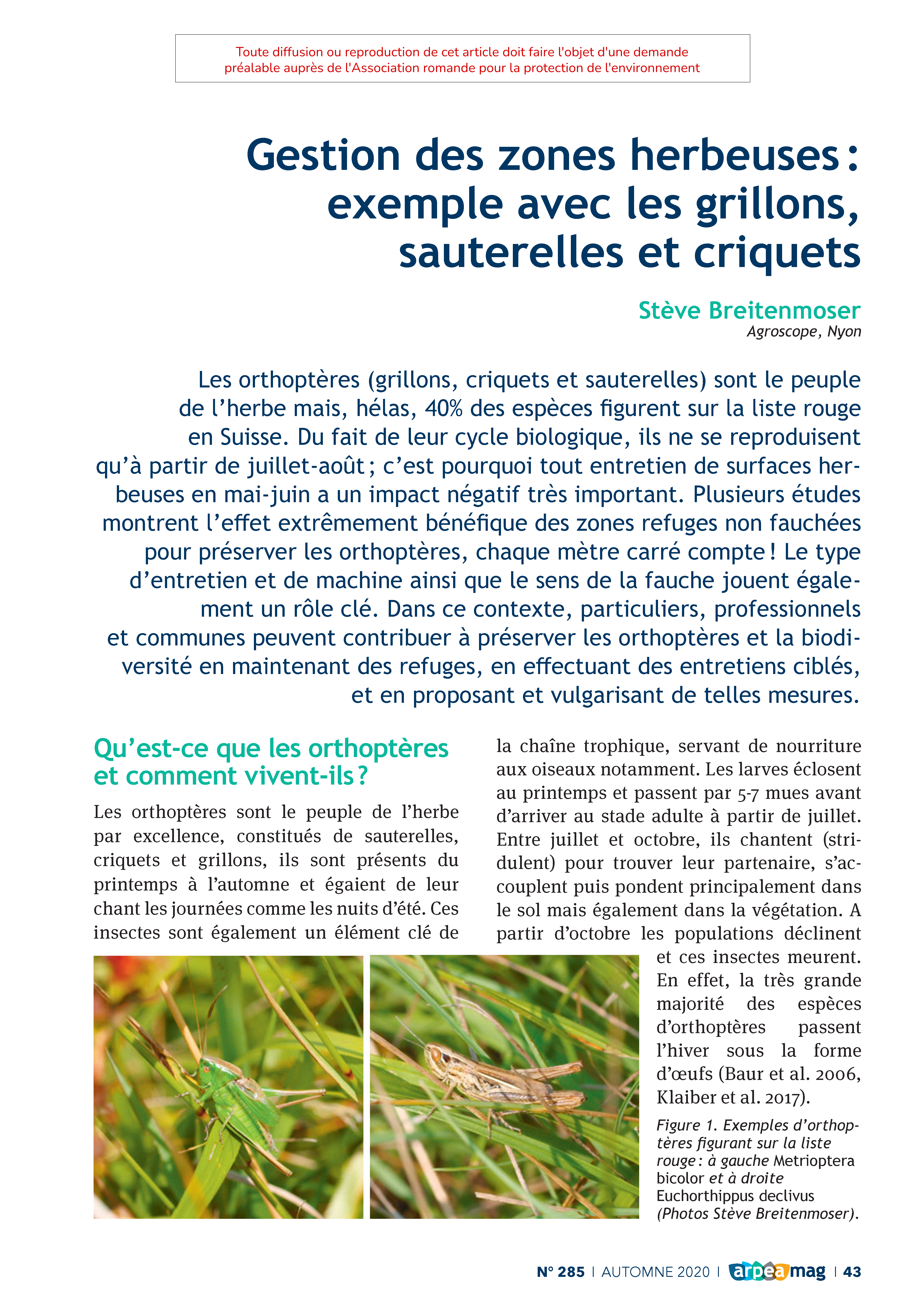 Gestion des zones herbeuses : exemple avec les grillons, sauterelles et criquets