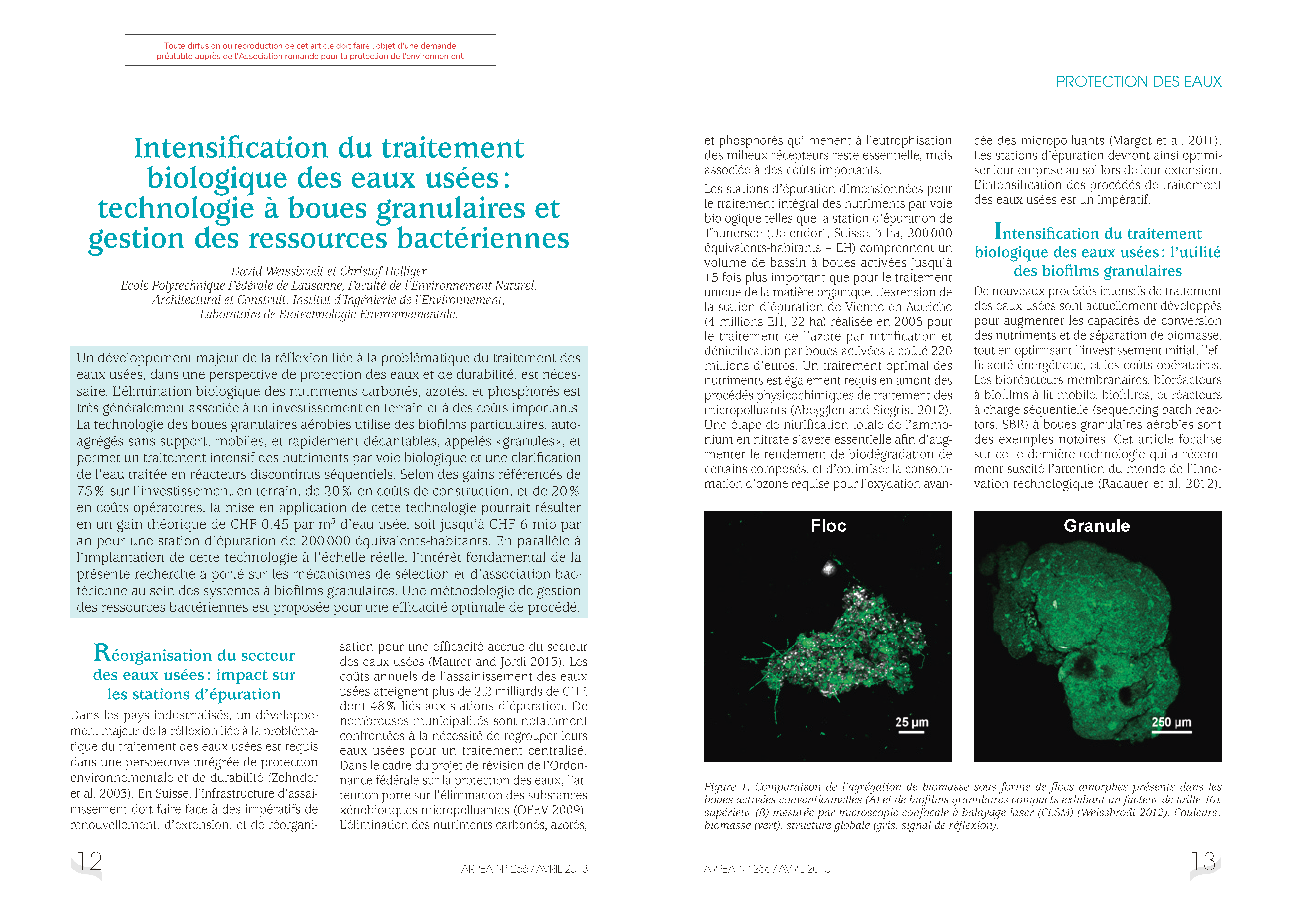 Intensification du traitement biologique des eaux usées : technologie à boues granulaires et gestion des ressources bactériennes