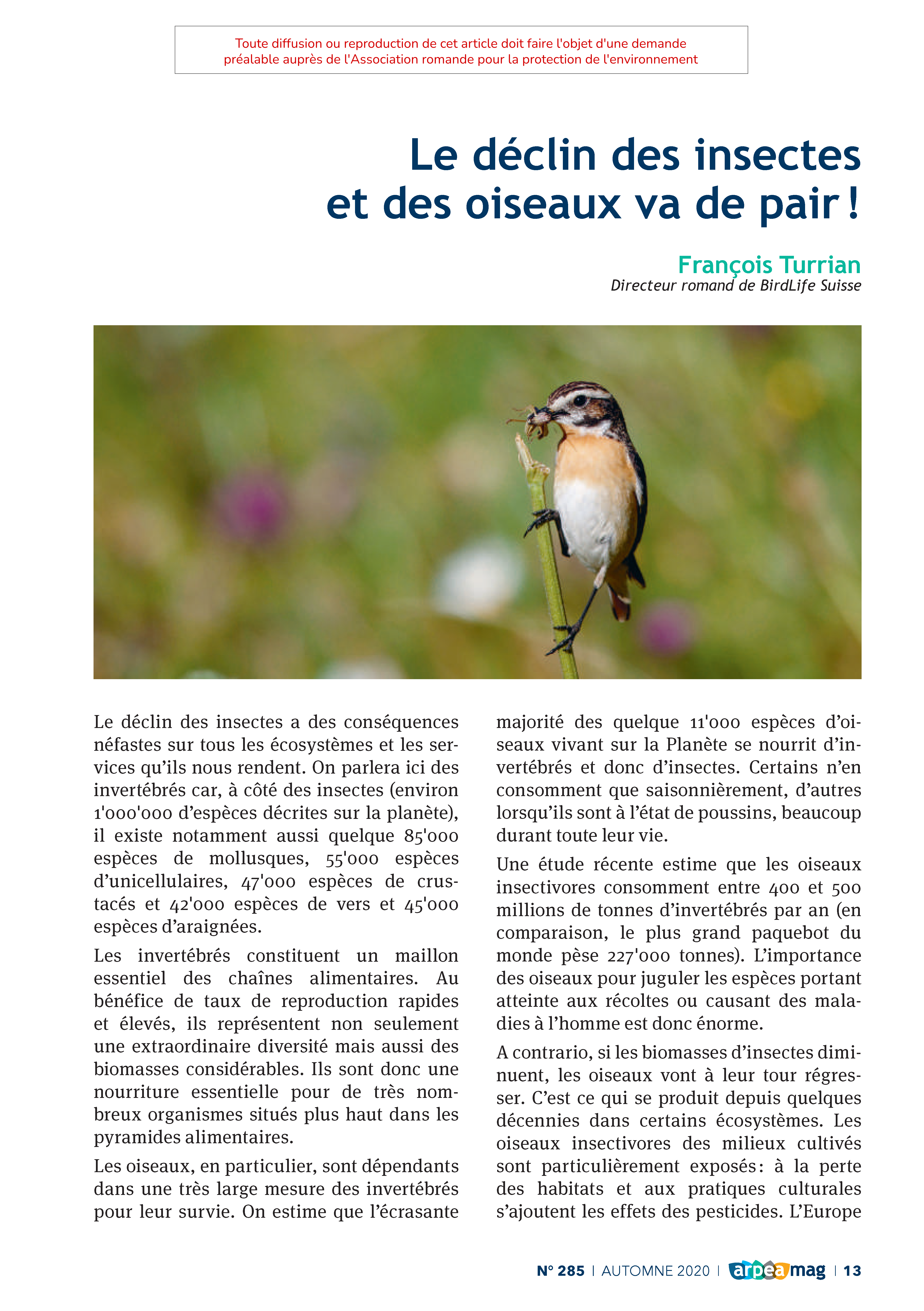 Le déclin des insectes et des oiseaux va de pair !