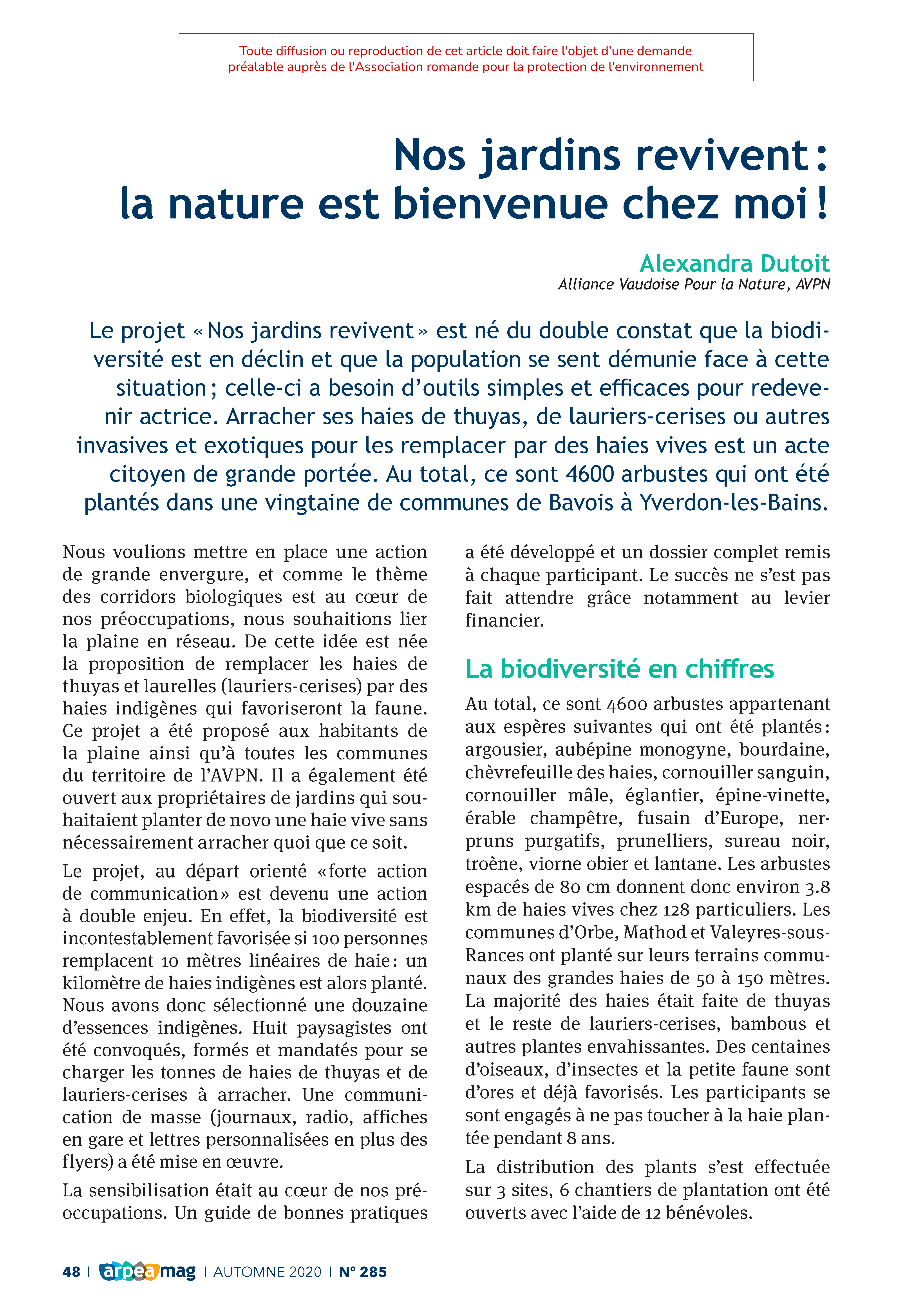 Nos jardins revivent : la nature est bienvenue chez moi !