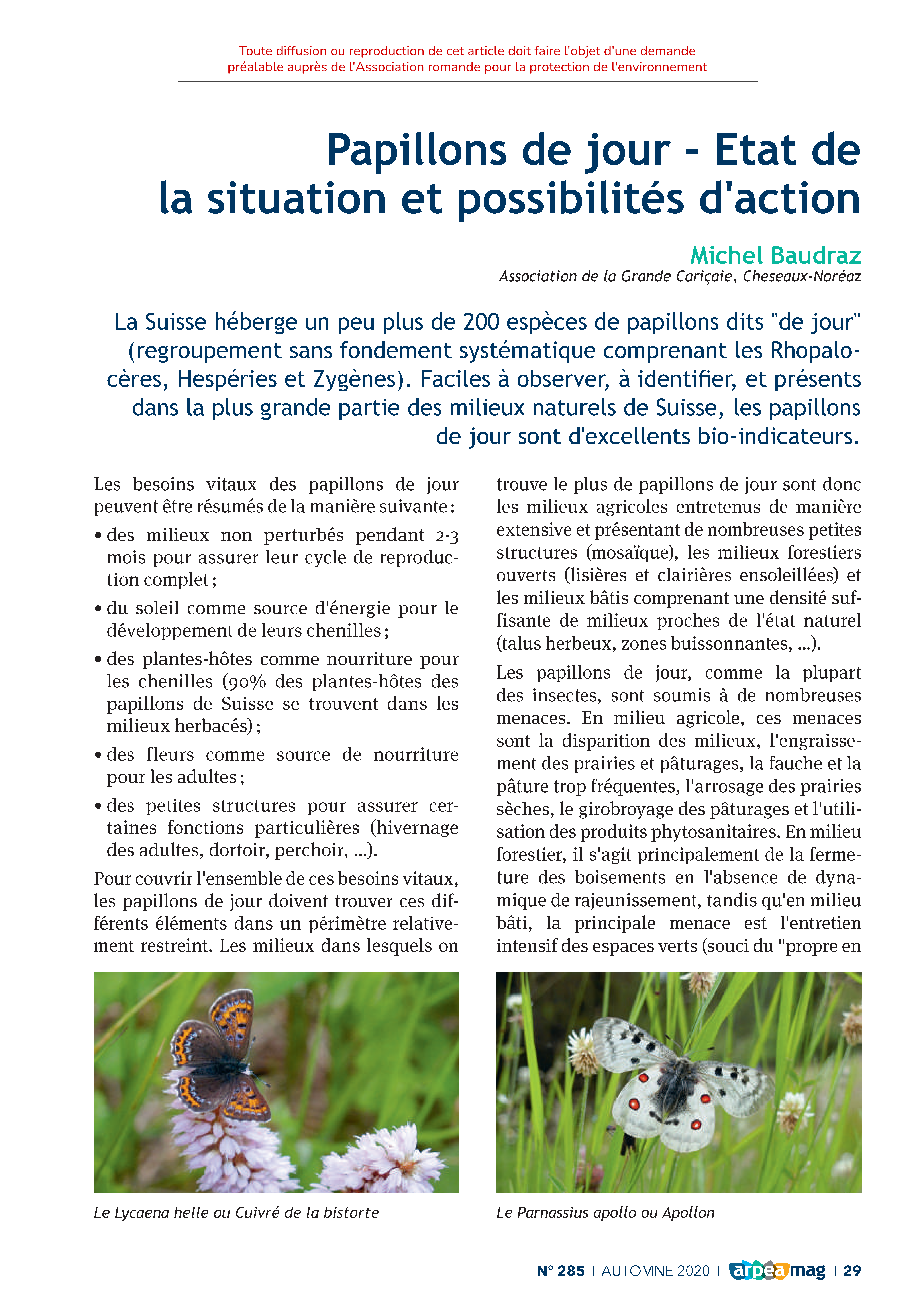 Papillons de jour – Etat de la situation et possibilités d’action