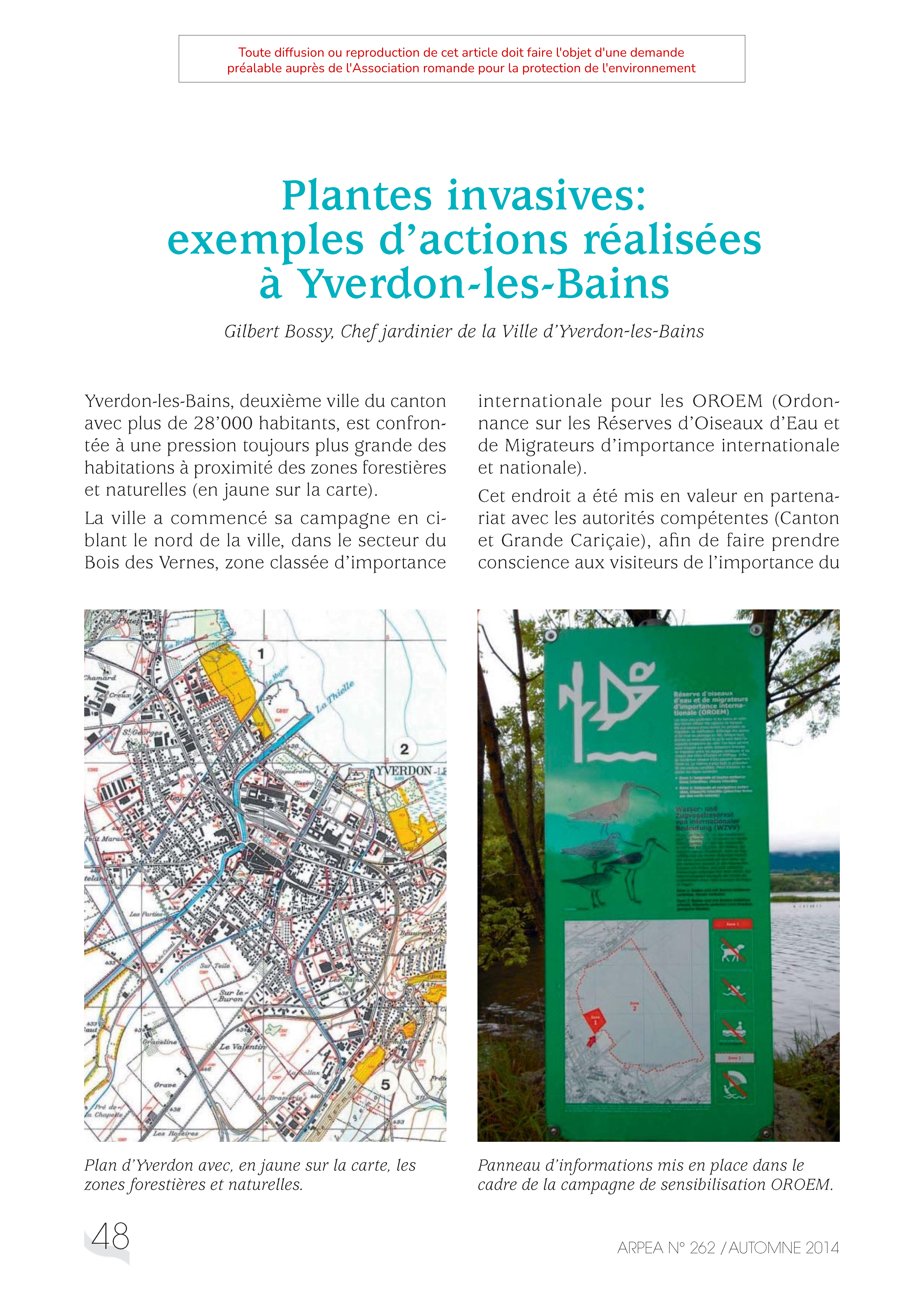 Plantes invasives : exemples d’actions réalisées à Yverdon-les-Bains