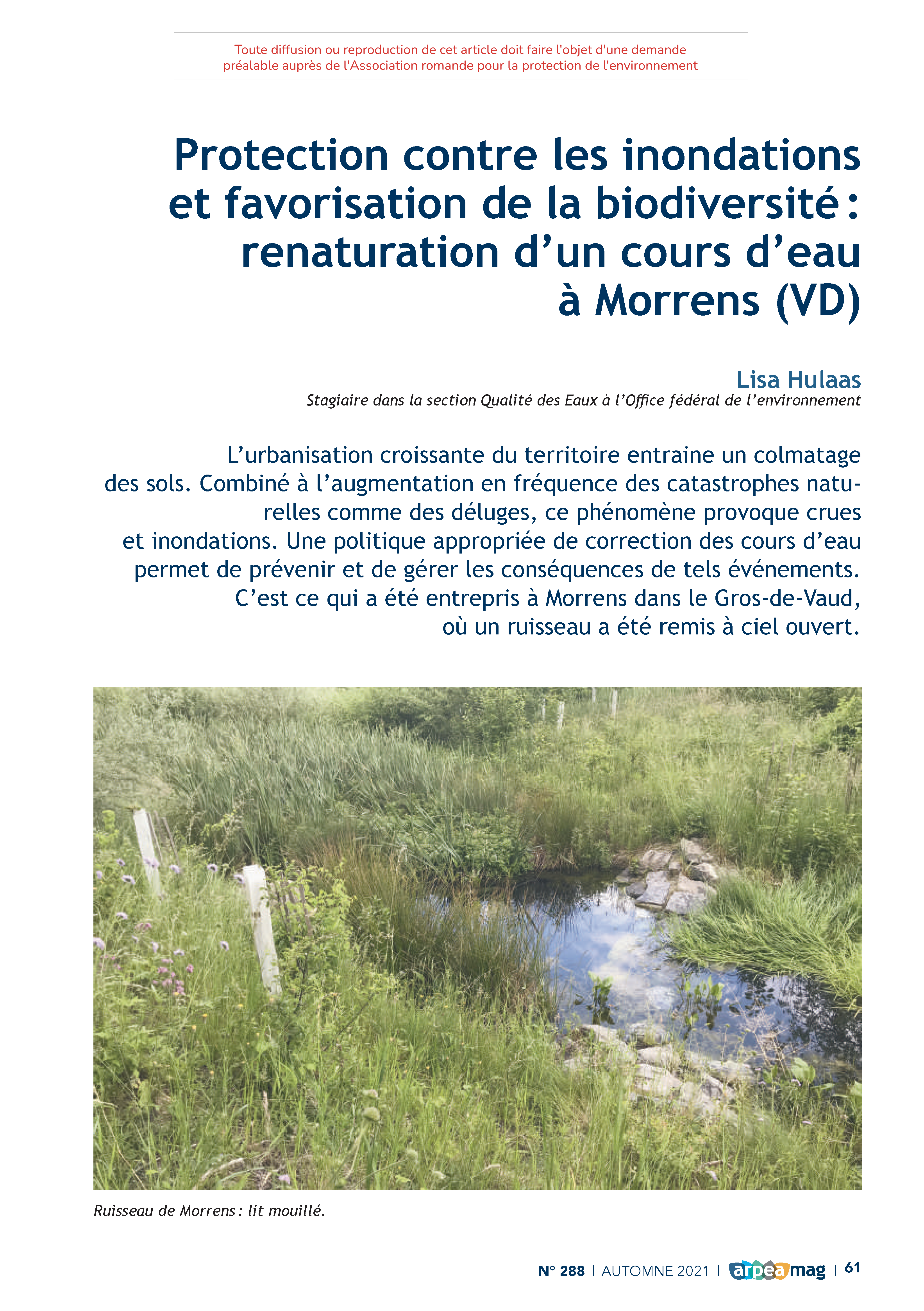 Protection contre les inondations et favorisation de la biodiversité: renaturation d’un cours d’eau à Morrens (VD)