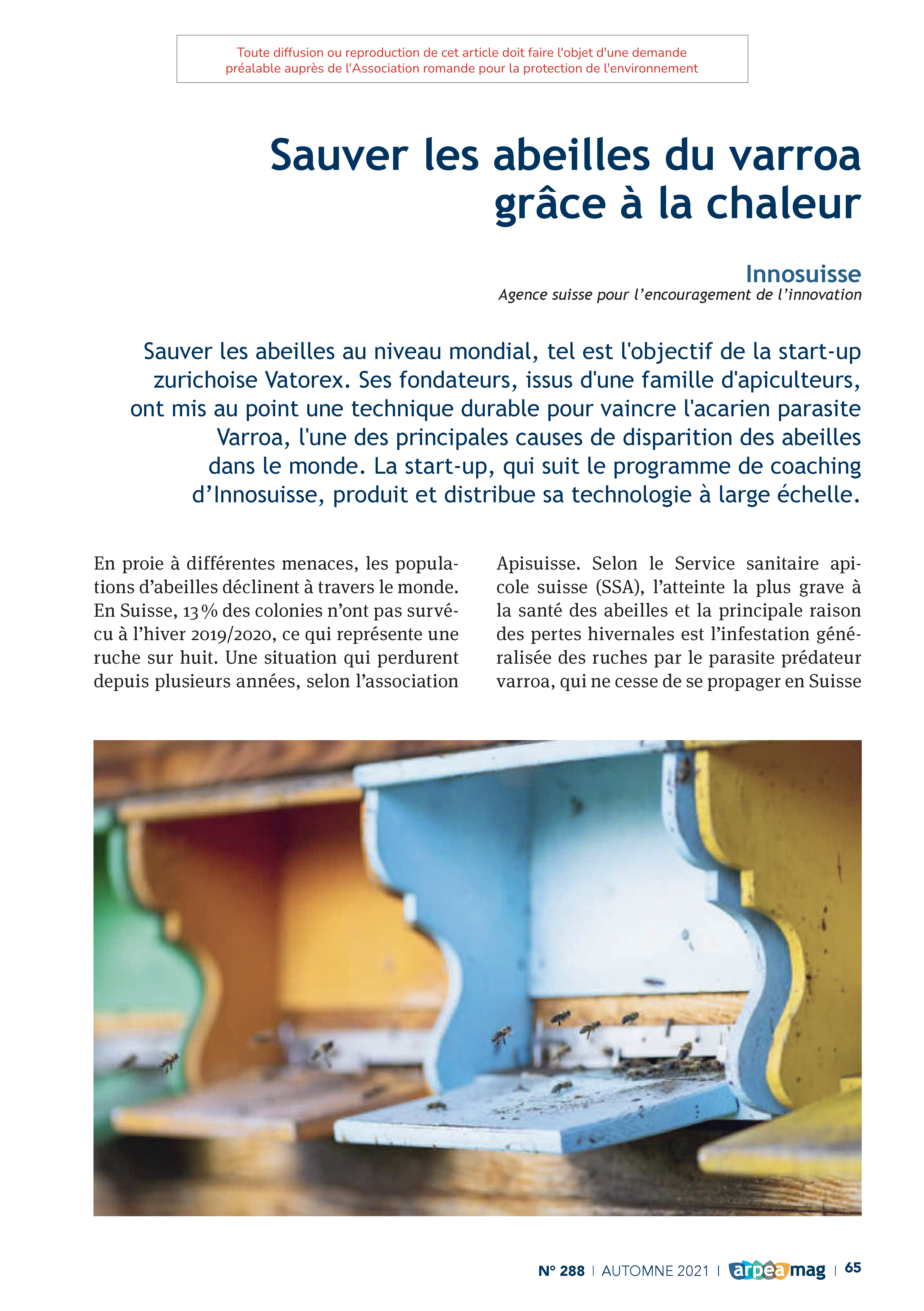 Sauver les abeilles du varroa grâce à la chaleur