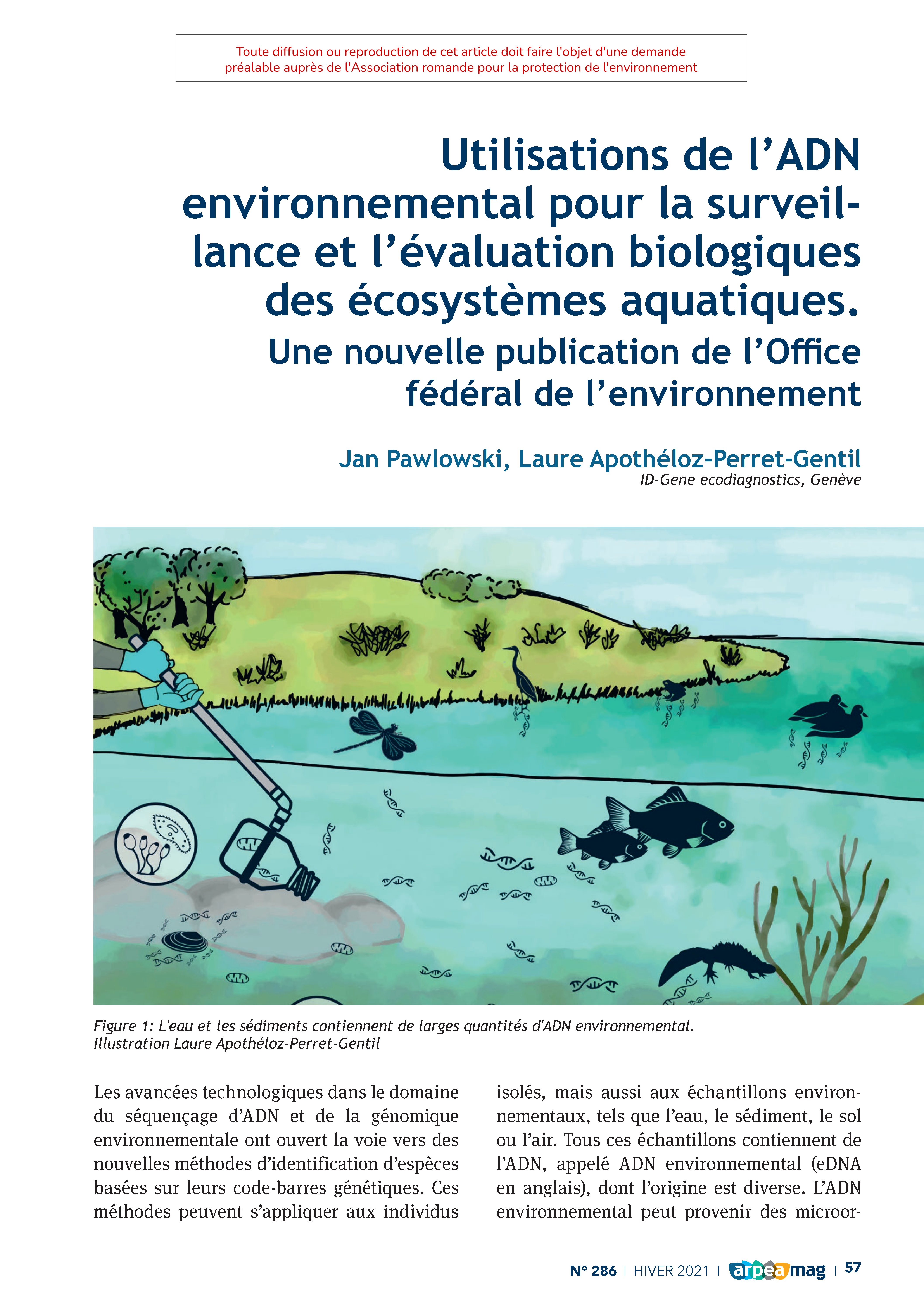 Utilisation de l’ADN environnemental pour la surveillance et l’évaluation biologiques des écosystèmes aquatiques. Une nouvelle publication de l’Office fédéral de l’environnement