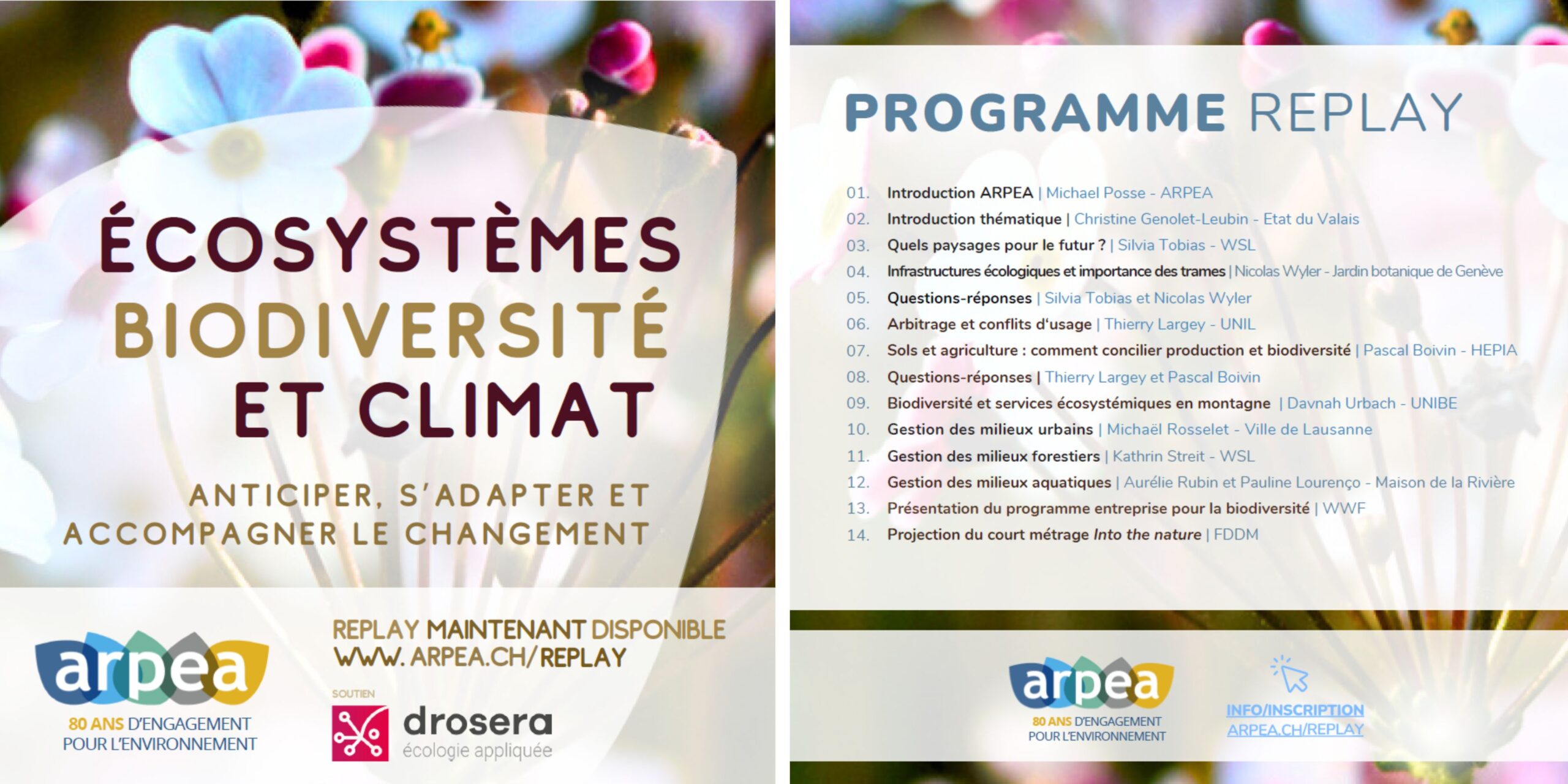 Écosystèmes, biodiversité et climat