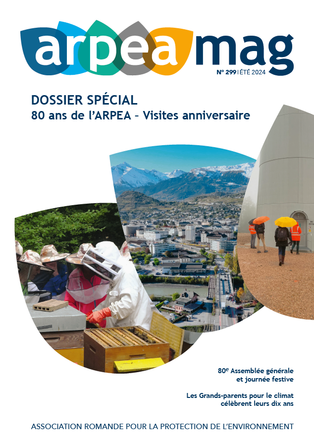 Arpeamag – 299