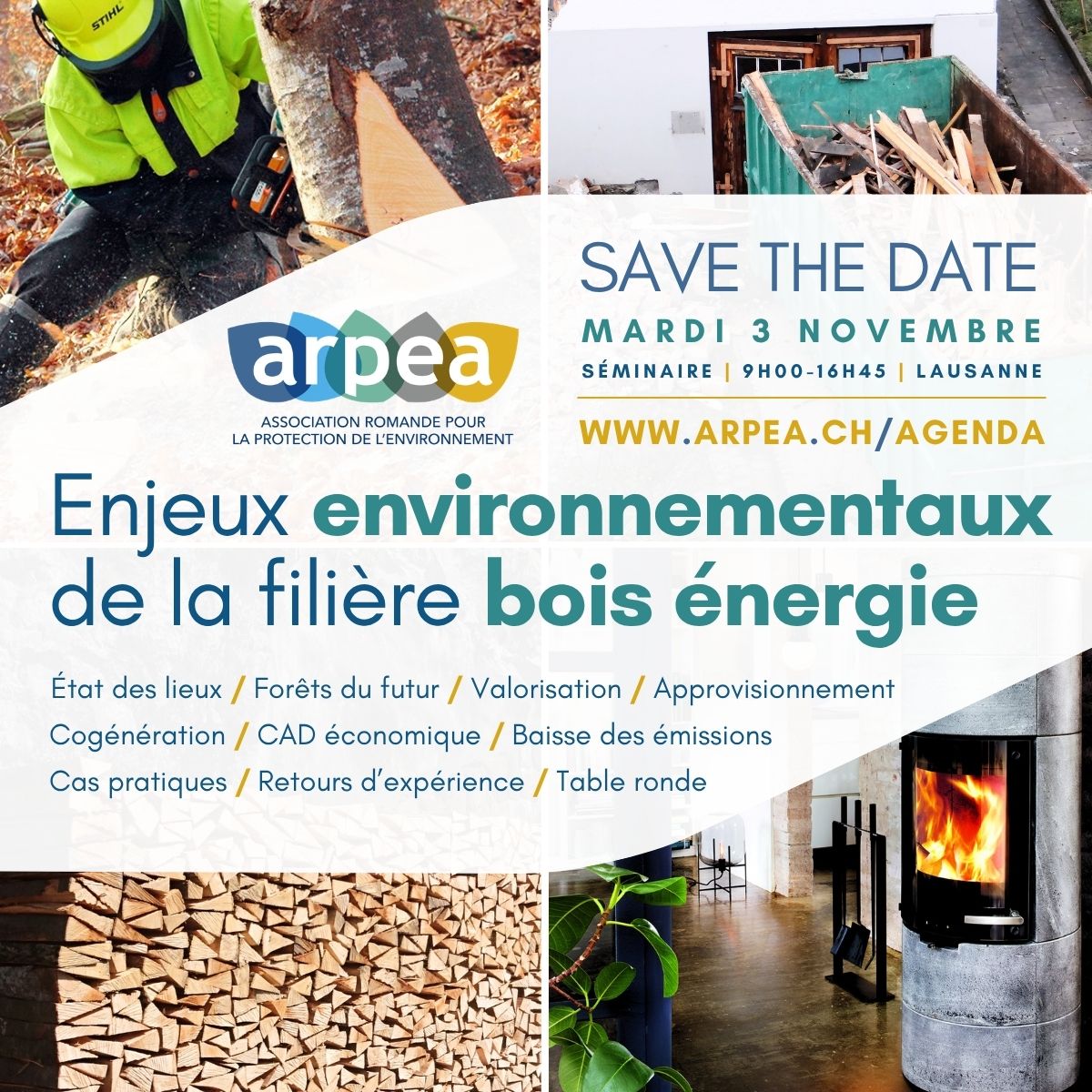 Enjeux environnementaux de la filière bois énergie