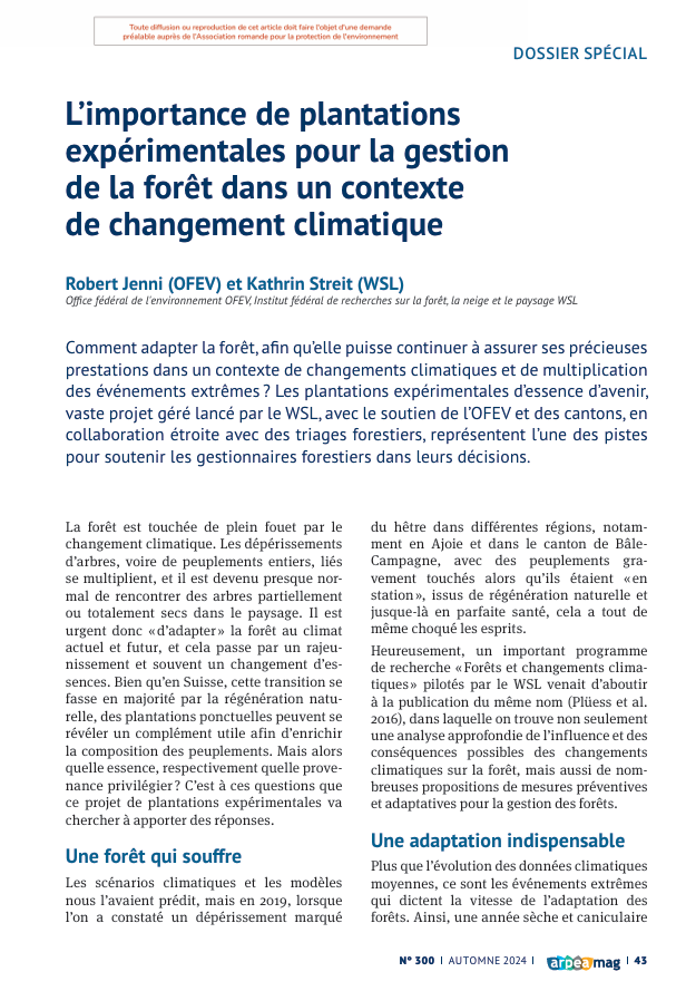 L’importance de plantations expérimentales pour la gestion de la forêt dans un contexte de changement climatique