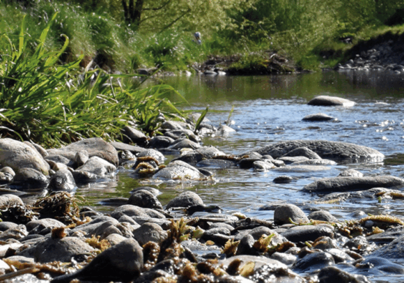 HEPIA | CAS renaturation des cours d'eau